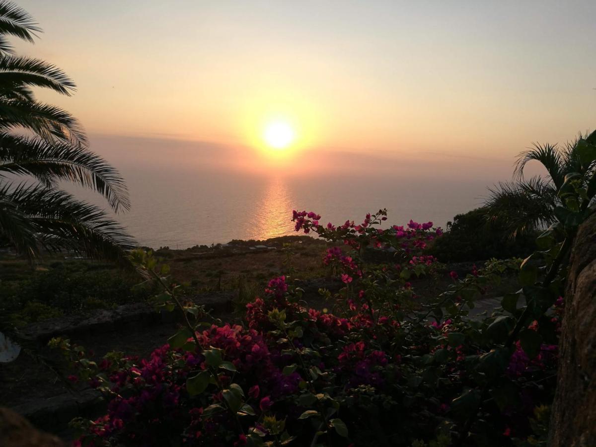Dammusi Il Carrubo Hotel Kamma ภายนอก รูปภาพ