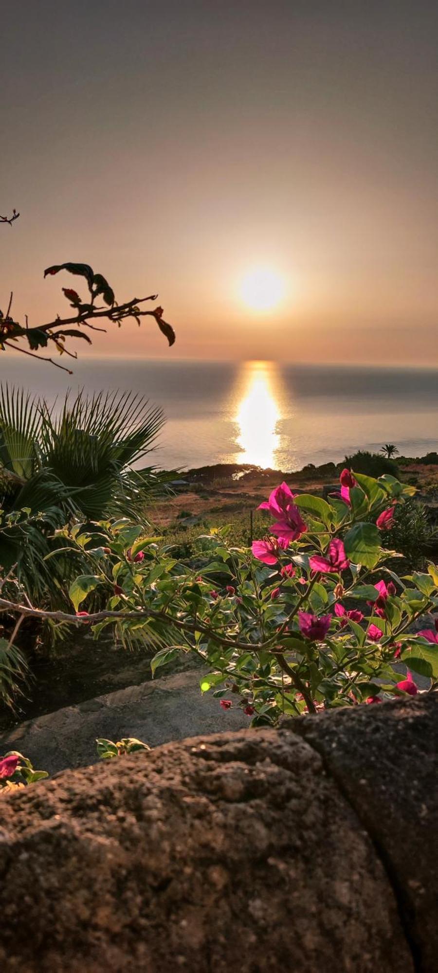 Dammusi Il Carrubo Hotel Kamma ภายนอก รูปภาพ